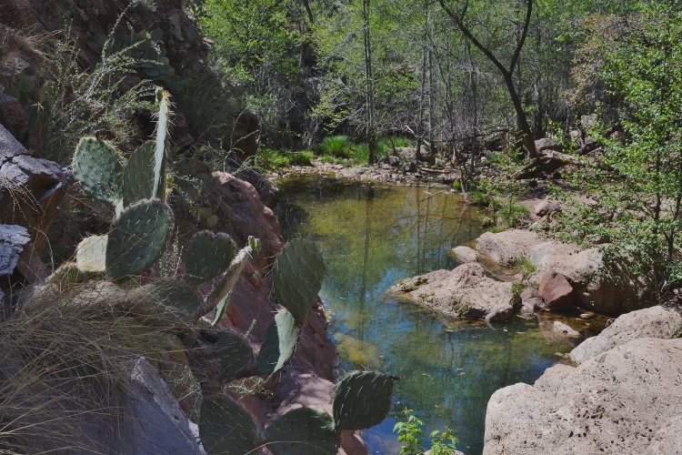 tonto bridge